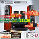 天逸（Winner）TD-8 童笛8號 家庭影院套裝5.1音響組合 家用功放k歌音響套裝 TD-8 (5.0聲道)+功放