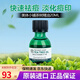 美體小鋪（The Body Shop）英國茶樹(shù)精油祛痘淡化痘印精華油20ML 【收縮毛孔 調節水油平衡】