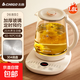 志高（CHIGO）養生壺煮茶器煮茶壺家用玻璃電熱燒水壺小型多功能藥膳煎藥壺迷你辦公室花茶壺燒茶DC-5B07 1.8L 無(wú)濾網(wǎng)【304不銹鋼】