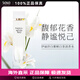 伊麗莎白雅頓（Elizabeth Arden）白茶女士淡香水100ml 持久清新淡雅花香調 小眾香38女神節禮物 白茶味