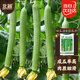 北蔬 絲瓜籽種子苗早熟蔬菜老品種四季長(cháng)絲瓜菜籽 濰瓜28香絲瓜種子5g