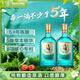 毛鋪草本酒【新品】綠蕎純糧小瓶白酒基酒5年以上陳 光瓶口糧酒非原箱 42度 520mL 2瓶 雙瓶分享