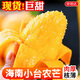 京地達海南芒果小臺芒大果凈重4.5斤單果100g+新鮮水果源頭直發(fā)包郵