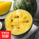 【特小鳳西瓜】當季新鮮水果特小鳳西瓜清甜多汁黃心黃肉時(shí)令水果 特小鳳帶箱3-4斤（1-2個(gè)）凈重3斤+