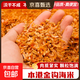【直播專(zhuān)屬】廣東本港金鉤淡干蝦仁海產(chǎn)干貨海米蝦米蝦仁 【本港野生捕撈】100g袋裝