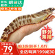 哆鮮生 海捕竹節蝦 野外生長(cháng)活凍國產(chǎn)斑節蝦大花對蝦九節竹節鬼蝦蝦類(lèi) 竹節蝦 特大號 5-6條 300g(凈重)