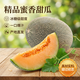 京典光年海南哈密瓜 黃金蜜瓜當季新鮮水果現摘現發(fā) 哈密瓜凈重4.5斤