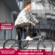 大行（DAHON）折疊自行車(chē)20英寸8級變速經(jīng)典P8單車(chē)KBC083 消光灰經(jīng)典版--京倉