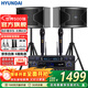 HYUNDAI現代家庭影院ktv音響套裝家用k歌點(diǎn)歌機電腦電視客廳卡拉ok全套專(zhuān)業(yè)功放音箱設備 【經(jīng)典版】10吋音響套裝（雙U段無(wú)線(xiàn)話(huà)筒+支架）