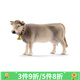 思樂(lè )（Schleich S）仿真動(dòng)物模型母公牛長(cháng)角牛奶牛犢男孩女孩兒童玩具3+ 瑞士褐牛母牛13874