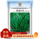 鳳鳴雅世 小細韭菜種子紅根紫根韭菜種籽獨根紅韭春季紫根韭菜籽種孑菜籽 海韭6號紫根韭菜種子200克