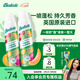 碧緹絲（batiste）英國進(jìn)口蓬松控油清新田園免洗干發(fā)噴霧150ml*2女神節禮物