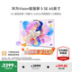 華為（HUAWEI）Vision智慧屏 5SE系列 鴻蒙AI搜片4K超級投屏240Hz超高清MiniLED智能平板電視機[煥新補貼15%] 65英寸 華為vision 5SE[送普通掛架]