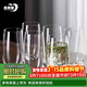 青蘋(píng)果水晶玻璃玻璃杯525ml六只裝 高款果汁杯牛奶杯啤酒杯茶水杯 