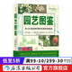 園藝圖鑒 家庭陽(yáng)臺種菜植物種植栽培工具使用指南生活家居書(shū)籍  后浪正版