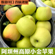 桃西村正宗阿壩州金冠小金蘋(píng)果黃綠香甜新鮮微翻砂蘋(píng)果當季孕婦兒童水果 正宗金冠小金蘋(píng)果 9斤 75mm(含)-85mm 大果22個(gè)左右