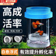 宜品達懸浮式孔雀魚(yú)繁殖盒魚(yú)缸隔離盒魚(yú)苗母魚(yú)斗魚(yú)熱帶魚(yú)孵化產(chǎn)房孵化器 藍色【小號套裝】 【漂浮式繁殖隔離盒-高清透亮】