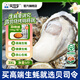 貝司令鮮活乳山生態(tài)生蠔3XL 凈重9斤 23-32只 生鮮源頭直發(fā)露營(yíng)聚會(huì )