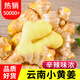 中鮮生 云南小黃姜現挖生姜月子姜 新鮮蔬菜 2025年新姜 云南小黃姜9斤【凈重】品質(zhì)老姜