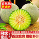京地達網(wǎng)紋瓜山東網(wǎng)紋蜜瓜2粒裝凈重5斤玲瓏甜瓜香瓜水果源頭直發(fā)包郵