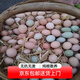 【助農】土雞蛋農家散養新鮮純農村天然正宗笨雞蛋0抗生素0激素 【助農】農家散養土雞蛋30枚