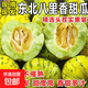 東北特產(chǎn)八里香香瓜新鮮水果當季現摘現發(fā)水果脆甜多汁香甜解膩 八里香香瓜一個(gè)