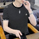 花花公子（PLAYBOY）男士短袖t恤2026夏季新款高端圓領(lǐng)橫條紋體恤衫潮牌半截袖上衣服