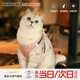 BOBOCOLA貓咪牽引繩防掙脫不勒脖外出專(zhuān)用貓繩子胸背帶項圈溜小貓小狗神器 冰桃粉【輕松出行】 S【建議胸圍36-40cm體重12斤內】
