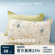 安睡寶（SOMERELLE）100%純棉枕套一對裝 全棉新疆棉枕芯保護套枕頭套一對48x74cm
