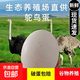 超大新鮮非洲鴕鳥(niǎo)蛋特大食用蛋營(yíng)養豐富可節日送禮 2.5-3斤