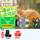 索尼（SONY） E50mm F1.8 OSS  APS-C畫(huà)幅 定焦  50F1.8半畫(huà)幅定焦鏡頭 街拍  特寫(xiě)人像 銀色E50F1.8+尼克斯49UV