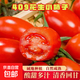丹東堿地柿子409柿子花生小番茄紅色圣女果小西紅柿 帶箱約1斤