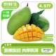 京鮮生廣西生吃大青芒 凈重4.5斤裝 單果400g起 生鮮水果源頭直發(fā)包郵