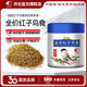 開(kāi)元紅子鳥(niǎo)食專(zhuān)用粉面飼料繡眼大山雀貝子鳥(niǎo)食四季配方全年可用250g 全價(jià)紅子鳥(niǎo)食桶裝250g