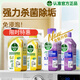 滴露（Dettol）洗衣機清洗劑250ml金裝版檸檬*2+薰衣草*2洗衣機清潔春節大掃除