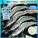 GUO LIAN國聯(lián)水產(chǎn) 白蝦大蝦對蝦加大號活蝦急凍 蝦類(lèi)海鮮生鮮食材送禮 鹽凍南美大蝦-超大號 2.8斤(凈重)