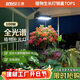 三思植物補光燈仿太陽(yáng)全光譜 全光譜植物燈 室內植物生長(cháng)燈-100W懸掛