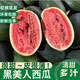 春福樂(lè ) 黑美人西瓜【源頭直發(fā)】新鮮麒麟美都甜西瓜沙瓤薄皮手撕瓜水果 凈重5-6斤 精選裝丨定制裝用包裝
