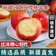 兮柔新疆阿克蘇櫻桃小蘋(píng)果 正宗櫻桃蘋(píng)果脆甜冰糖心新鮮水果特產(chǎn)整箱 5斤精美彩箱裝 約16-18枚【迷你果】