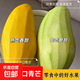 進(jìn)口正宗大青芒果越南酸甜可口純甜無(wú)絲京東 產(chǎn)地直發(fā) 帶箱5斤裝，凈重4.5斤，單果1斤起