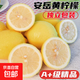 新鮮安岳精選一級黃檸檬當季皮薄泡茶鳳爪奶茶店榨汁檸檬茶水果 一級新鮮大果90-130g 6斤（酸爽多汁）