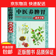 中醫養脾胃速查手冊 中醫藥膳食譜按摩推拿穴位書(shū)調理脾胃虛寒內分泌失調胃寒胃痛畏寒精神不振發(fā)胖養生書(shū)籍 中醫養脾胃速查手冊