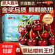 【櫻桃王中王】  大連美早大櫻桃 出口級品質(zhì) 北緯38.8°產(chǎn)地直供 1斤(凈重) 小果 XL 單果24-26mm