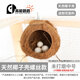 高能鸚鵡虎皮鸚鵡椰子殼鳥(niǎo)窩鸚鵡窩鳥(niǎo)巢窩鸚鵡繁殖箱珍珠椰殼鳥(niǎo)窩戶(hù)外草窩 【未打磨】中號13~14螺絲款