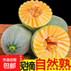現摘現發(fā)一藤一瓜哈密瓜當季鮮果脆甜多汁時(shí)令生鮮包郵 哈密瓜帶箱8-9斤（凈重7.2斤）