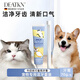 DEATKN【德國】寵物貓咪狗狗牙刷牙膏套裝除口臭刷牙結石可食用清潔用品 牙膏牙刷套裝（萬(wàn)毛）贈指套刷*2 1支 【德國品牌】