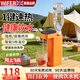 WIFER【英國】便攜式燒水壺即熱式飲水機旅行出差電水壺小型熱水壺礦泉水加熱器迷你速熱水機桌面臺式 即熱型 橙色【5秒即熱+5檔溫控+軟管+轉接頭】 旗艦款【旅游/出差】可上飛機