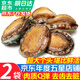 優(yōu)牧冠 冷凍大鮑魚(yú) 10頭鮑 堪比活鮑 9分熟凍鎖鮮 年貨送禮 2袋【三去免處理】熟凍鎖鮮10只裝凈重500g*2