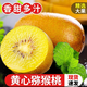 四川獼猴桃黃心奇異果黃金果新鮮當季水果彌猴桃大果整箱WL [果王]正宗黃心獼猴桃5斤裝(單果130以上安心無(wú)損）
