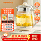 九陽(yáng)（Joyoung）養生壺迷你玻璃花茶壺煮茶器 12大功能11檔溫度 0膠水恒溫電熱燒水壺1.5L 1566BQ